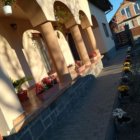 Nárcisz B&B Corund  Zewnętrze zdjęcie