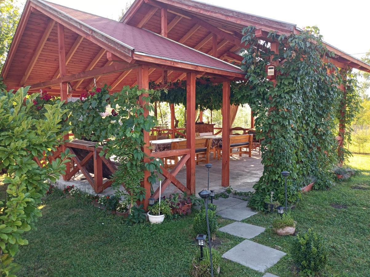 Nárcisz B&B Corund  Zewnętrze zdjęcie
