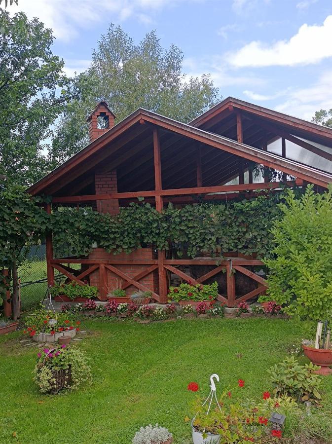 Nárcisz B&B Corund  Zewnętrze zdjęcie