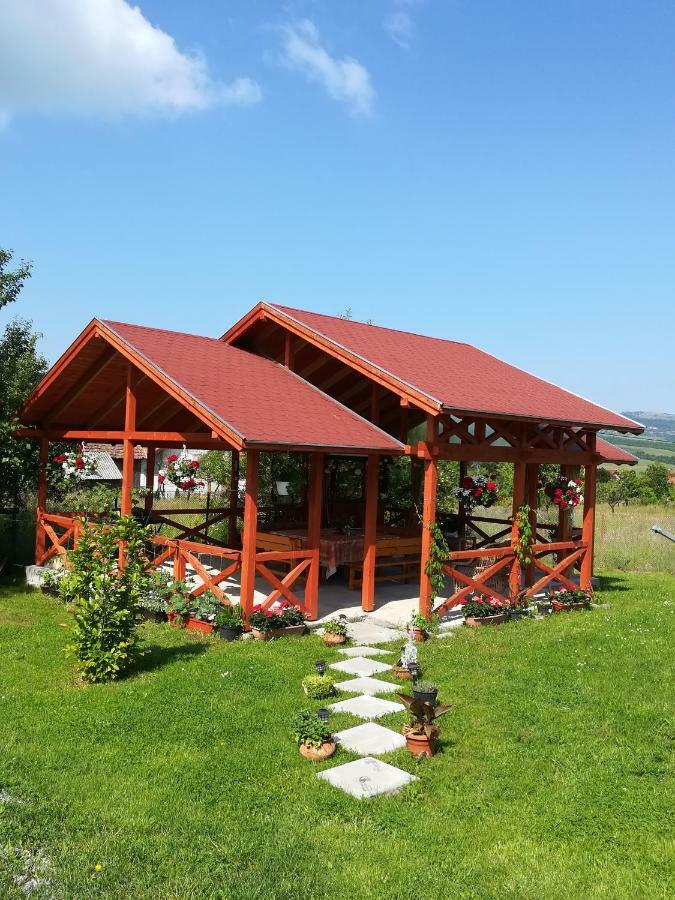 Nárcisz B&B Corund  Zewnętrze zdjęcie