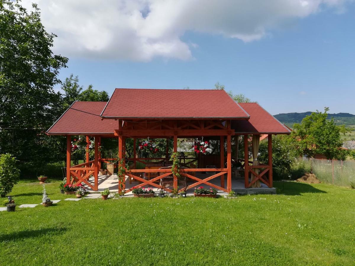 Nárcisz B&B Corund  Zewnętrze zdjęcie
