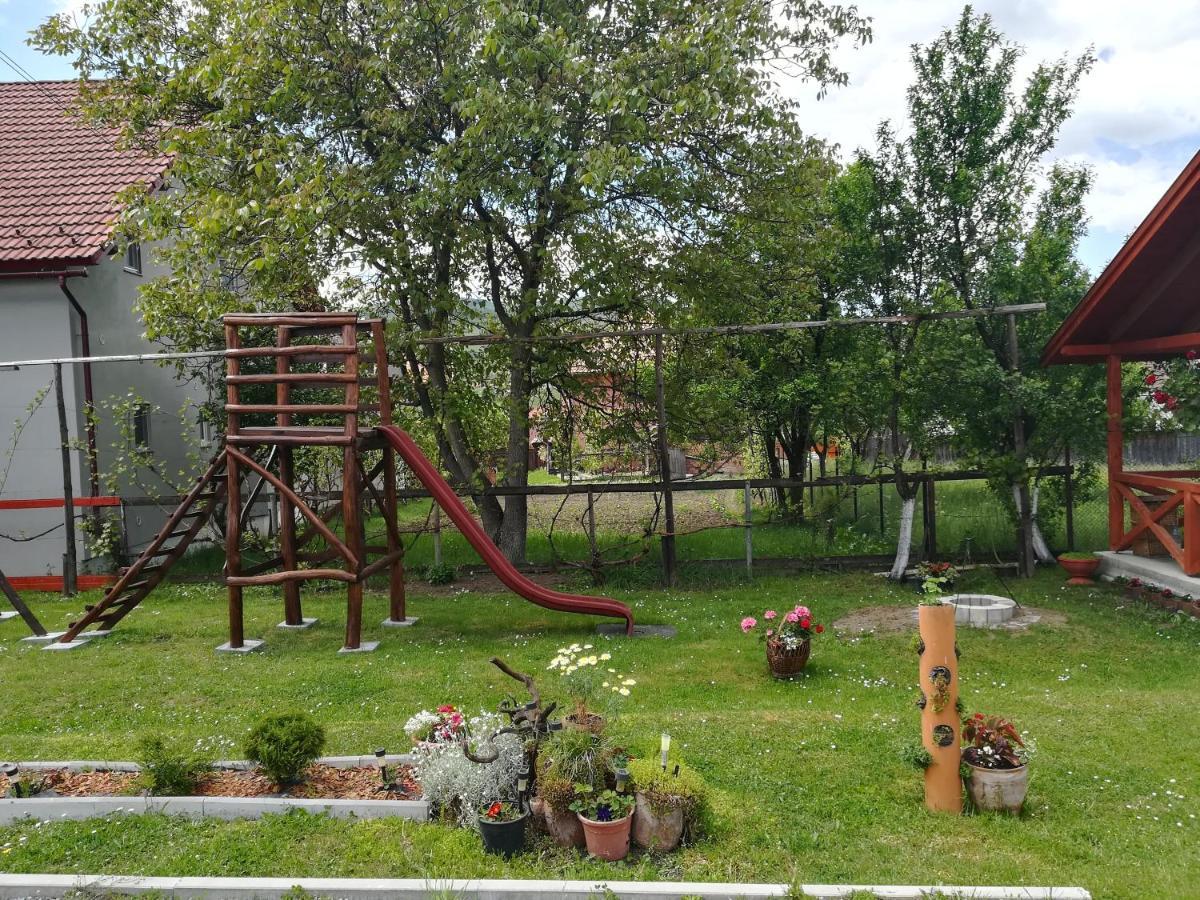 Nárcisz B&B Corund  Zewnętrze zdjęcie
